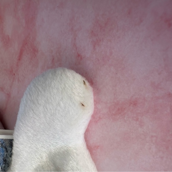 RARE VINTAGE Ty Beanie Baby Butch with Tag Error 1998/1999 some stains - Picture 13 of 14